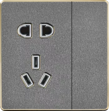 A4-010 一开带二三极插座