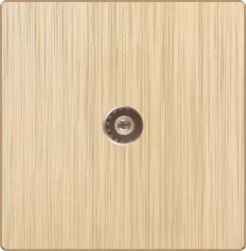 A2-013 电视插座